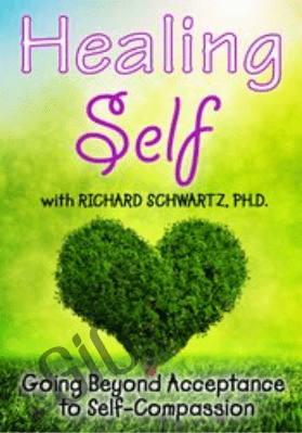 Healing Self: Going Beyond Acceptance to Self-Compassion - Richard C. Schwartz