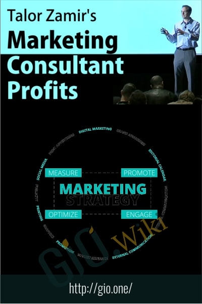 Marketing Consultant Profits - Talor Zamir