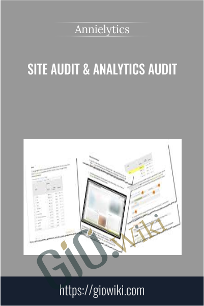 Site Audit & Analytics Audit - Annielytics