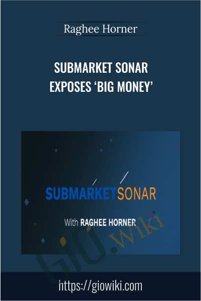 Submarket Sonar Exposes ‘Big Money’ - Raghee Horner