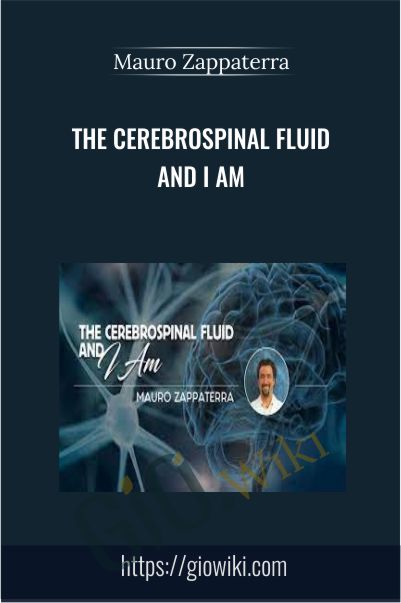 The Cerebrospinal Fluid and I AM - Mauro Zappaterra