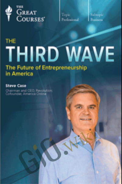 The Future of Entrepreneurship in America - The Third Wave