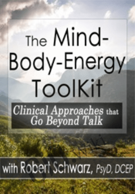 The Mind-Body-Energy ToolKit: Clinical Approaches that Go Beyond Talk -  Robert Schwarz