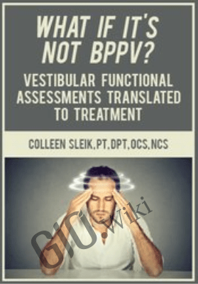 What If It’s Not BPPV? Vestibular Functional Assessments Translated to Treatment - Colleen Sleik