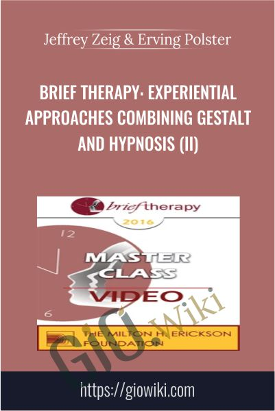 Brief Therapy: Experiential Approaches Combining Gestalt and Hypnosis (II) - Jeffrey Zeig & Erving Polster