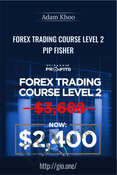 Forex Trading Course Level 2 - Pip Fisher