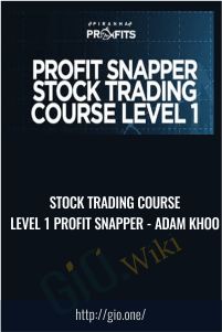 Stock Trading Course Level 1 Profit Snapper
