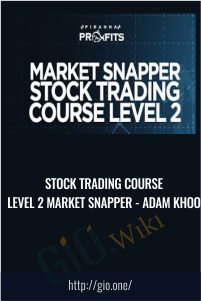 Stock Trading Course Level 2 Market Snapper
