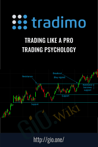 Trading Like a Pro – Trading Psychology – Tradimo