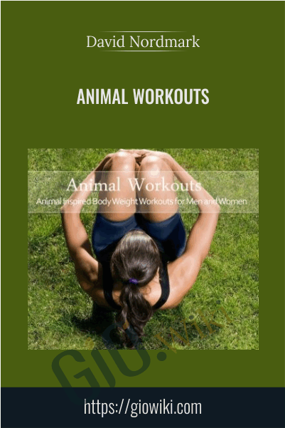 Animal Workouts - David Nordmark