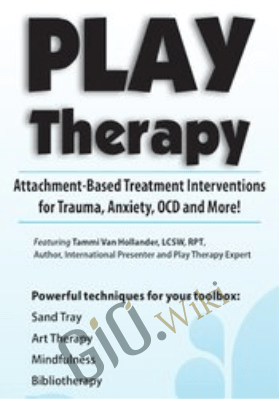 Play Therapy: Attachment-Based Treatment Interventions for Trauma, Anxiety, OCD and More! - Tammi Van Hollander